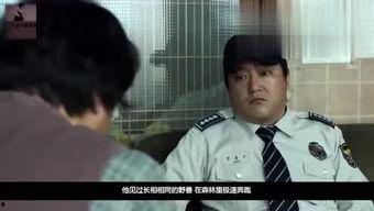 花瓣电影在线观看,在线观影新体验,畅享影视盛宴 第2张 花瓣电影在线观看,在线观影新体验,畅享影视盛宴 第2张